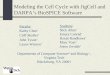 Modeling the Cell Cycle with JigCell and DARPA’s BioSPICE Software Departments of Computer Science* and Biology +, Virginia Tech Blacksburg, VA 24061 Faculty: