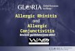 An educational program of: Allergic Rhinitis and Allergic Conjunctivitis Revised guidelines June 2003