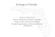 H2 FLORIDA Energy in Florida Scott A. Goorland Senior Assistant General Counsel Power Plant Siting and Energy Florida Department of Environmental Protection