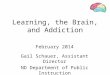 Learning, the Brain, and Addiction February 2014 Gail Schauer, Assistant Director ND Department of Public Instruction