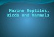 Marine Reptile Characteristics Land vertebrates are called tetrapods because they have four limbs designed for locomotion on land. They have lungs and