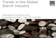 Trends in the Global Starch Industry World tapioca Conference 2011 Presentation by Martin Todd, 28 th June 2011
