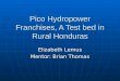 Pico Hydropower Franchises, A Test bed in Rural Honduras Elizabeth Lemus Mentor: Brian Thomas