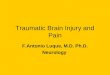 Traumatic Brain Injury and Pain F.Antonio Luque, M.D. Ph.D. Neurology