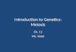Introduction to Genetics: Meiosis Ch. 11 Ms. Haut