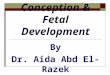Conception & Fetal Development By Dr. Aida Abd El-Razek