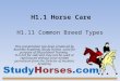 H1.1 Horse Care This presentation has been produced by Ausintec Academy (Study Horses.com) for purpose of Educational Training. It is not for sale and