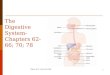 1 The Digestive System-Chapters 62-66; 70; 78 Figure 62-1; Guyton & Hall