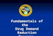 Fundamentals of the Drug Demand Reduction Program