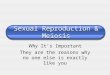 Sexual Reproduction & Meiosis Why It’s Important They are the reasons why no one else is exactly like you