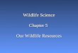 Wildlife Science Chapter 5 Our Wildlife Resources