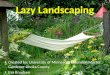 Lazy Landscaping Created by: University of Minnesota Extension Master Gardener-Anoka County Eva Knudsen