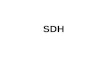 SDH. SDH / SONET 1.Introduction to SDH/ SONET Applications / advantages/ disadvantages 2.Physical Configuration 3.SONET/ SDH Layers 4.Transmission Formats