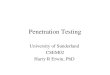Penetration Testing University of Sunderland CSEM02 Harry R Erwin, PhD