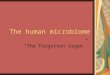 The human microbiome “The Forgotten Organ”. The Forgotten Organ Within body of healthy adult, microbial cells are estimated to outnumber human cells ten