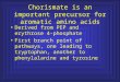 Chorismate is an important precursor for aromatic amino acids Derived from PEP and erythrose 4- phosphate First branch point of pathways, one leading to