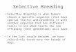 Selective Breeding Selective Breeding is when humans choose a specific organism (that have special traits) and breed/mix it with another organism that