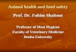 Animal health and food safety Prof. Dr. Fahim Shaltout Professor of Meat Hygiene Faculty of Veterinary Medicine Benha University