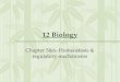 12 Biology Chapter 5&6- Homeostasis & regulatory mechanisms