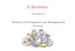 E-Business Lecture 3 Website Development and Management Process