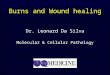 Burns and Wound healing Dr. Leonard Da Silva Molecular & Cellular Pathology
