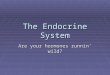 The Endocrine System Are your hormones runnin’ wild?
