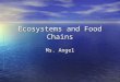 Ecosystems and Food Chains Ms. Angel. Ecosystems Groups of living things and the environment they live in make up an ecosystem. Groups of living things