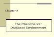 1 Chapter 9 The Client/Server Database Environment
