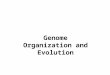 Genome Organization and Evolution. DNA is associated with architectural proteins and packaged into chromosomes. But, genetic information has to be accessible