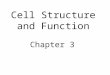 Cell Structure and Function Chapter 3. The Cell--Considerations Basic unit of life Protection and support Movement Communication Metabolism and energy