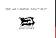 THE WILD ANIMAL SANCTUARY. BACKGROUND The Wild Animal Sanctuary is a 720 acre wildlife rescue facility located in Keansburg Co They work to rescue captive