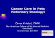 Cancer Care in Pets (Veterinary Oncology) Orna Kristal, DVM Dip. American College of Vet Internal Medicine (oncology) Chavat Daat, Beit Berl