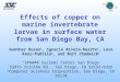 Effects of copper on marine invertebrate larvae in surface water from San Diego Bay, CA Gunther Rosen 1, Ignacio Rivera-Duarte 1, Lora Kear-Padilla 2,