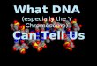 What DNA (especially the Y Chromosome) Can Tell Us