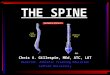 THE SPINE Chris A. Gillespie, MEd, ATC, LAT Director, Athletic Training Education Samford University