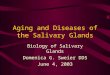 Aging and Diseases of the Salivary Glands Biology of Salivary Glands Domenica G. Sweier DDS June 4, 2003