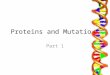 Proteins and Mutations Part 1. Learning Objectives Learn about different types of proteins. Learn about the functions of different proteins. Understand