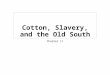 Cotton, Slavery, and the Old South Chapter 11. The Cotton Economy A shift of economic power from the “upper South” to the “lower South” took place. This