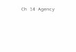 Ch 14 Agency. Principal-Agent Relationship Principal owns an asset Agent works on principal’s behalf to preserve on enhance the value of the asset Problem