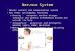 Nervous System Master control and communication system Has three overlapping functions Sensory - receptors monitor changes (stimuli) and gathers information