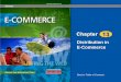 Distribution in E-Commerce Back to Table of Contents