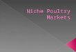 Niche Poultry Markets.  Live Bird Markets  Squab Production  Duck Production  Upland Game Birds Niche Poultry Markets