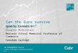 The Prospects Service © Centre for Economics and Business Research Ltd Can the Euro survive globalisation? Year 2, Lecture 5 Douglas McWilliams Mercers