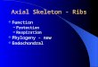 Axial Skeleton - Ribs Function â€“ Protection â€“ Respiration Phylogeny - new Endochondral