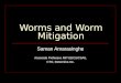 Worms and Worm Mitigation Saman Amarasinghe Associate Professor, MIT EECS/CSAIL CTO, Determina Inc