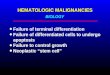 HEMATOLOGIC MALIGNANCIES Failure of terminal differentiation Failure of differentiated cells to undergo apoptosis Failure to control growth Neoplastic