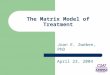 The Matrix Model of Treatment Joan E. Zweben, PhD April 23, 2004