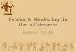 Exodus & Wandering in the Wilderness Exodus 12-15