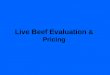 Live Beef Evaluation & Pricing. History 1916 Standards for U.S. grades developed 1924 Market classes and grades of dressed beef developed 1927 Voluntary