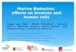 Marine Biotoxins: effects on bivalves and human cells Frank van Pelt 1,2 Moira McCarthy 1,3, Barbara Dörr 1,2, Ambrose Furey 1,4, Kevin James 1,3 and Bebhine